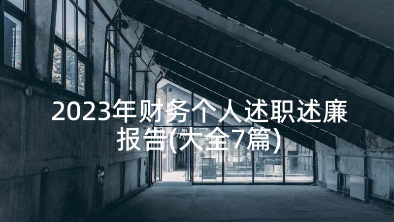 2023年财务个人述职述廉报告(大全7篇)