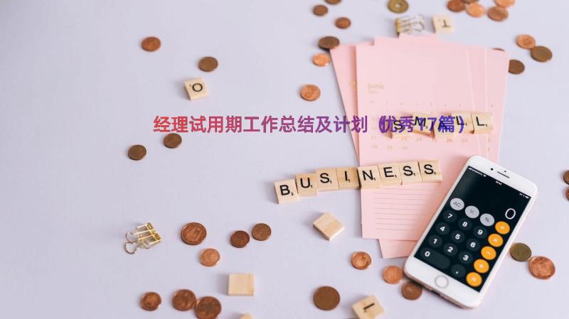 经理试用期工作总结及计划（优秀17篇）