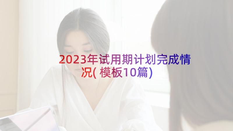 2023年试用期计划完成情况(模板10篇)