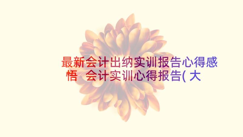 最新会计出纳实训报告心得感悟 会计实训心得报告(大全10篇)