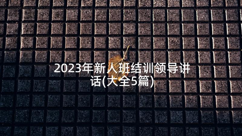 2023年新人班结训领导讲话(大全5篇)