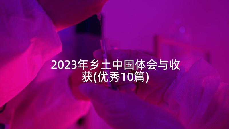 2023年乡土中国体会与收获(优秀10篇)