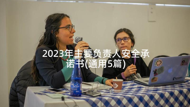 2023年主要负责人安全承诺书(通用5篇)