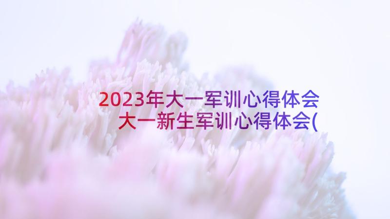 2023年大一军训心得体会 大一新生军训心得体会(优秀9篇)