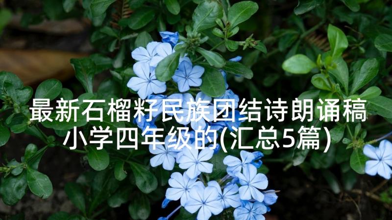 最新石榴籽民族团结诗朗诵稿小学四年级的(汇总5篇)