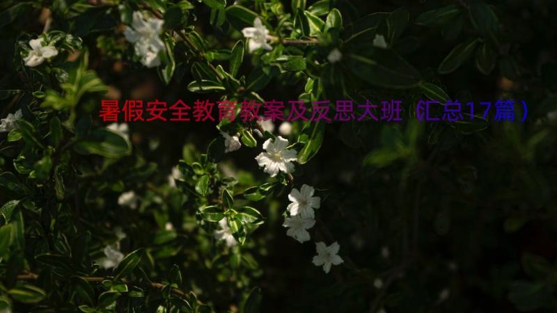 暑假安全教育教案及反思大班（汇总17篇）