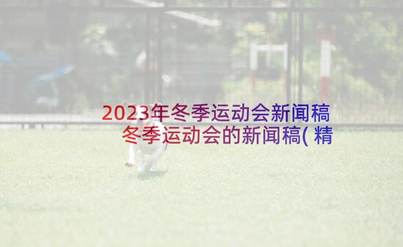 2023年冬季运动会新闻稿 冬季运动会的新闻稿(精选5篇)