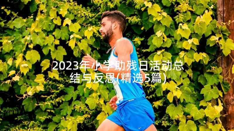 2023年小学助残日活动总结与反思(精选5篇)