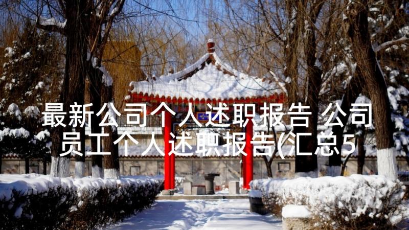 最新公司个人述职报告 公司员工个人述职报告(汇总5篇)