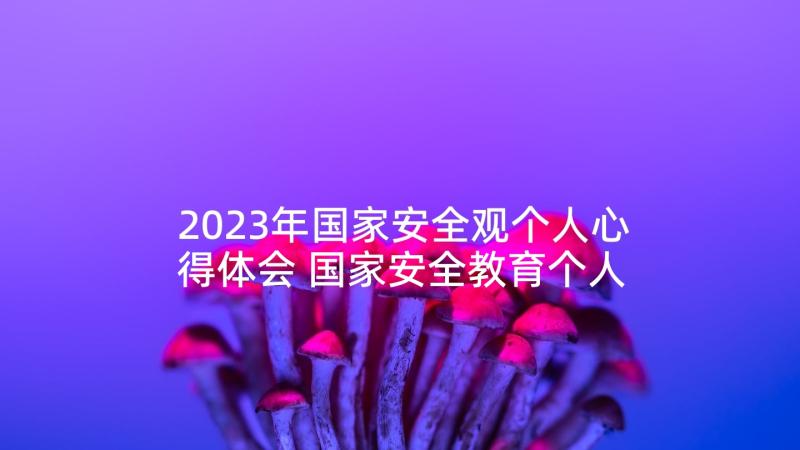 2023年国家安全观个人心得体会 国家安全教育个人心得(实用5篇)