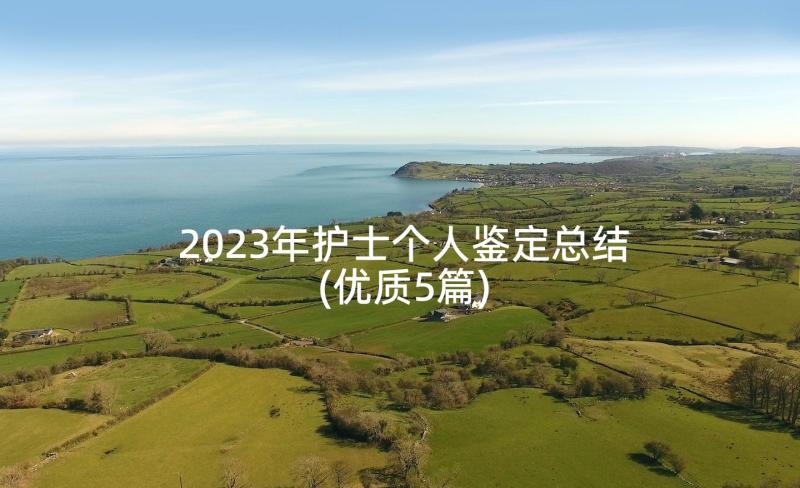 2023年护士个人鉴定总结(优质5篇)