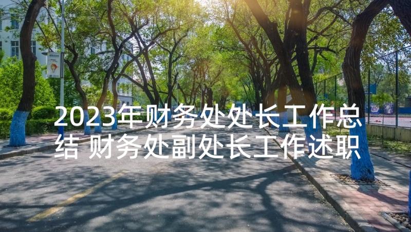 2023年财务处处长工作总结 财务处副处长工作述职报告(模板5篇)