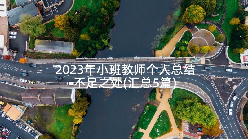 2023年小班教师个人总结不足之处(汇总5篇)