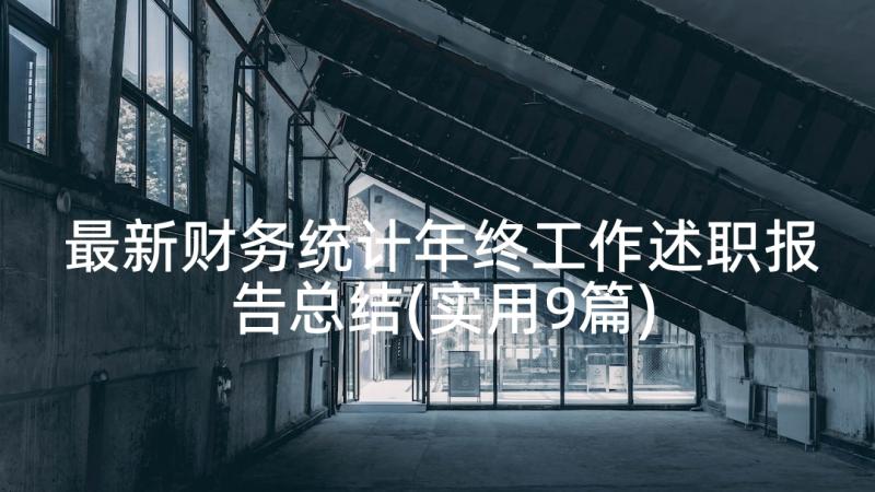 最新财务统计年终工作述职报告总结(实用9篇)