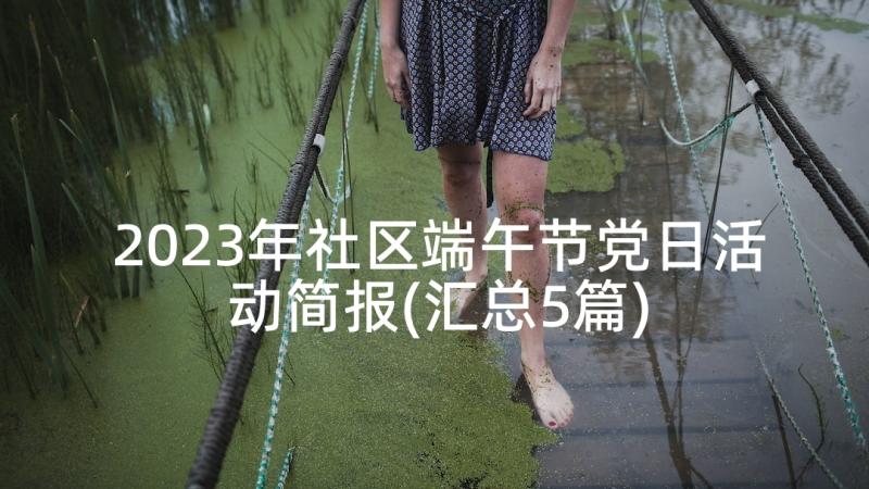 2023年社区端午节党日活动简报(汇总5篇)