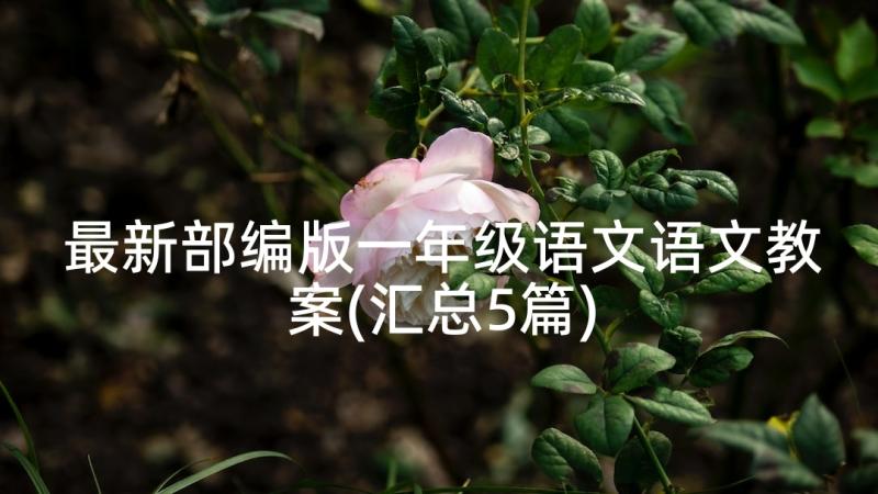 最新部编版一年级语文语文教案(汇总5篇)