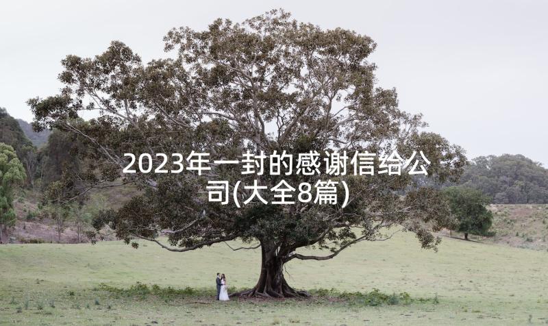 2023年一封的感谢信给公司(大全8篇)