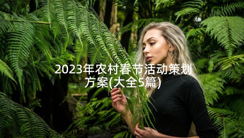 2023年农村春节活动策划方案(大全5篇)