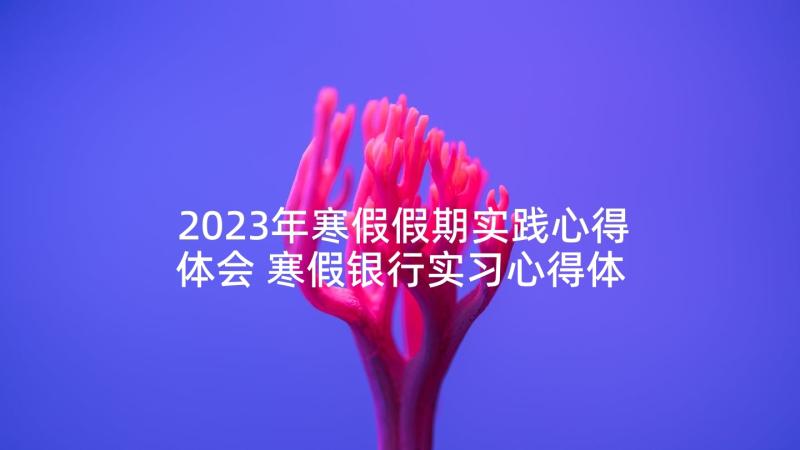 2023年寒假假期实践心得体会 寒假银行实习心得体会(汇总9篇)