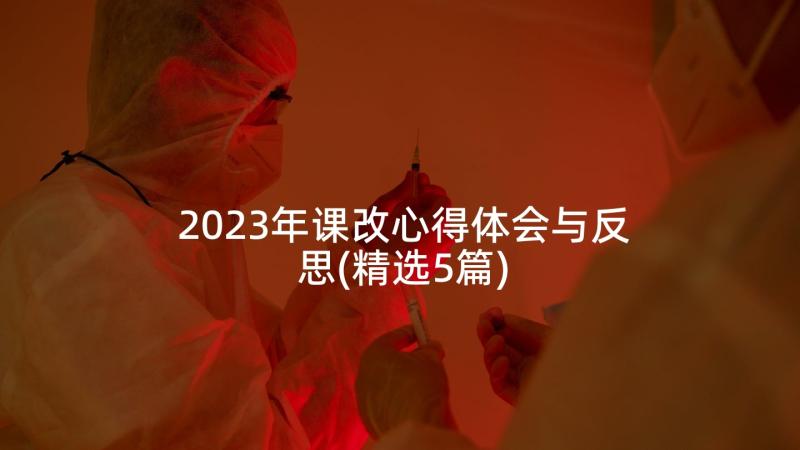 2023年课改心得体会与反思(精选5篇)