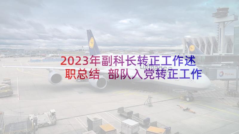 2023年副科长转正工作述职总结 部队入党转正工作述职总结(模板9篇)