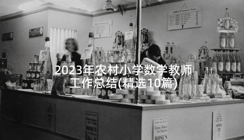 2023年农村小学数学教师工作总结(精选10篇)