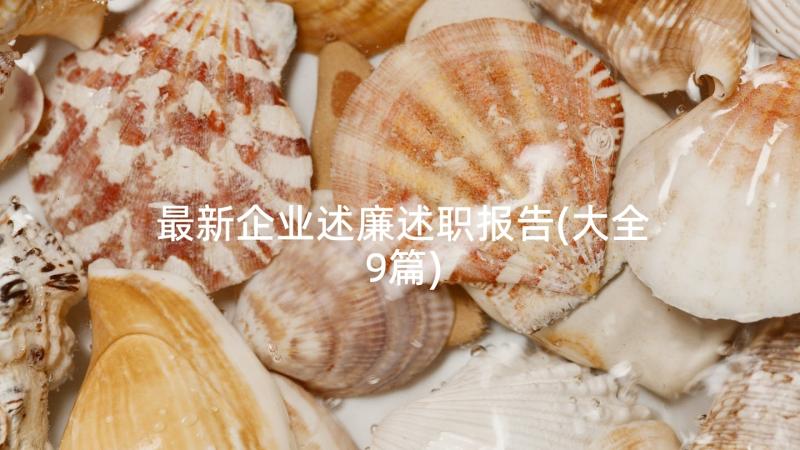 最新企业述廉述职报告(大全9篇)