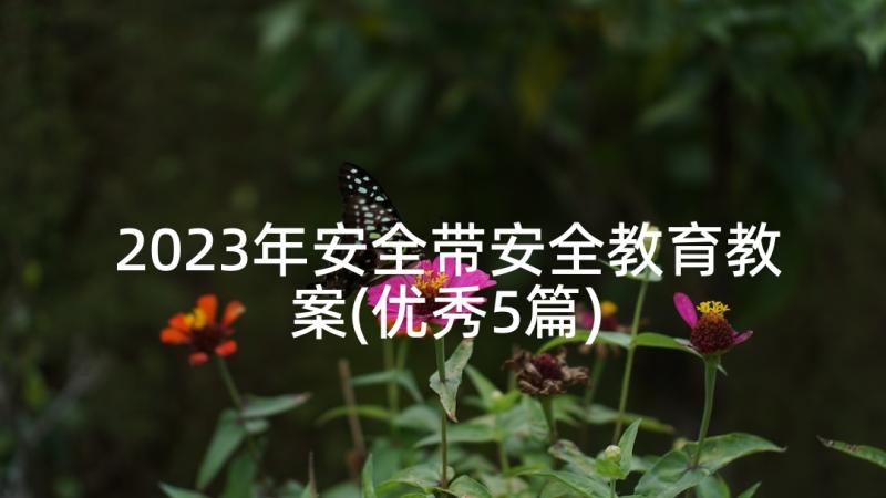 2023年安全带安全教育教案(优秀5篇)