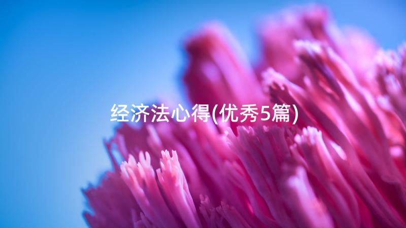 经济法心得(优秀5篇)