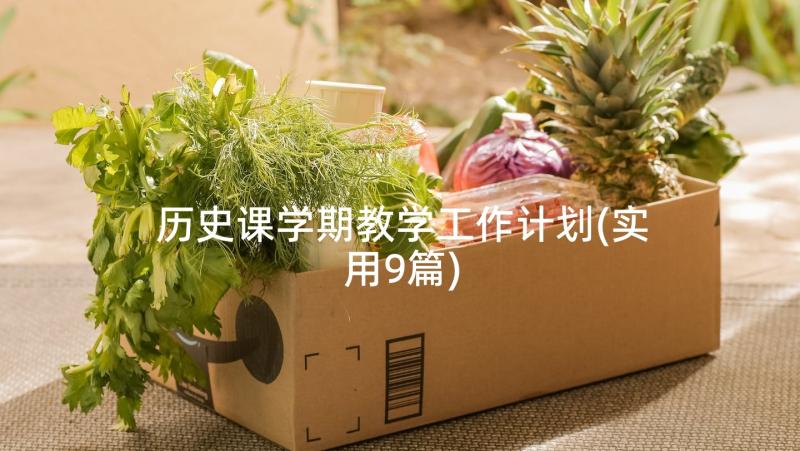 历史课学期教学工作计划(实用9篇)