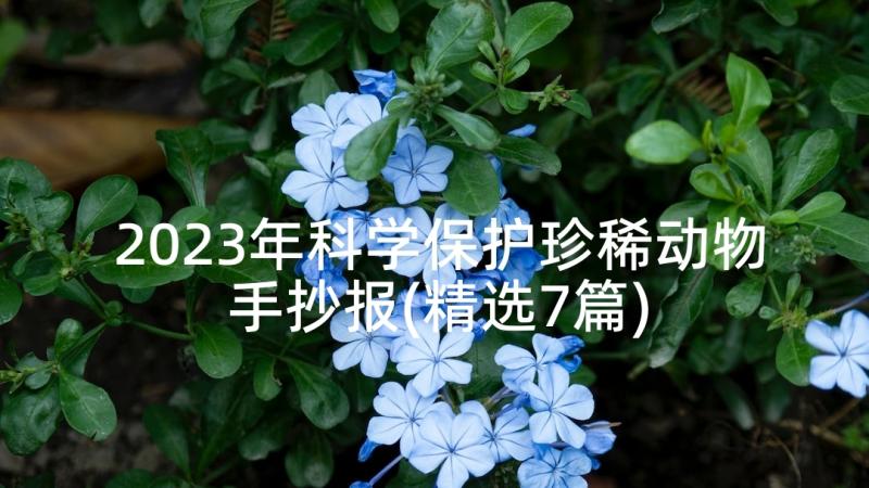 2023年科学保护珍稀动物手抄报(精选7篇)