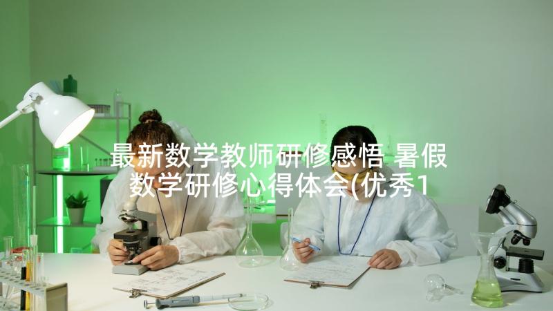 最新数学教师研修感悟 暑假数学研修心得体会(优秀10篇)