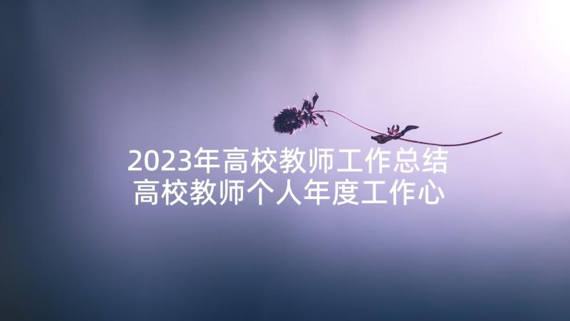 2023年高校教师工作总结 高校教师个人年度工作心得体会(大全5篇)