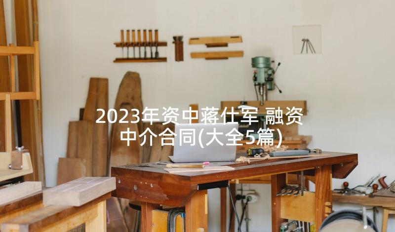 2023年资中蒋仕军 融资中介合同(大全5篇)