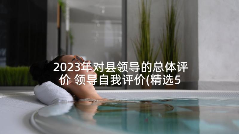 2023年对县领导的总体评价 领导自我评价(精选5篇)