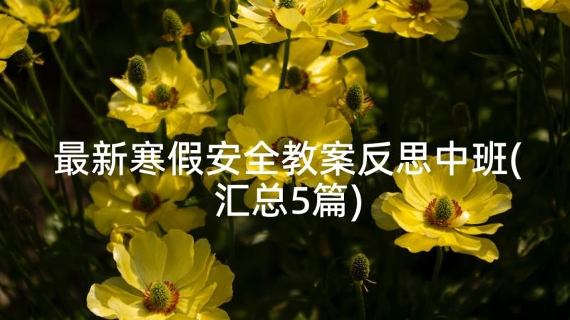 最新寒假安全教案反思中班(汇总5篇)