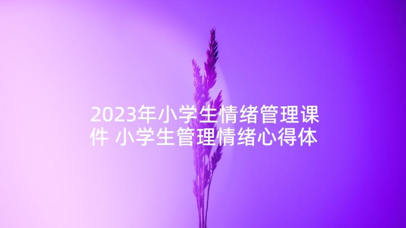 2023年小学生情绪管理课件 小学生管理情绪心得体会(通用5篇)