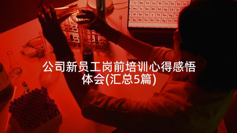 公司新员工岗前培训心得感悟体会(汇总5篇)