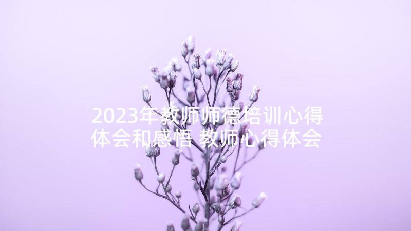 2023年教师师德培训心得体会和感悟 教师心得体会和感悟(优秀8篇)