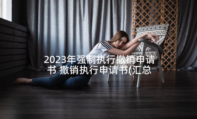 2023年强制执行撤销申请书 撤销执行申请书(汇总7篇)