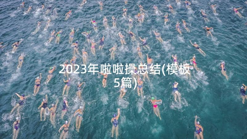 2023年啦啦操总结(模板5篇)