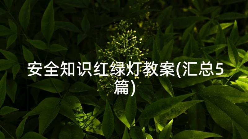 安全知识红绿灯教案(汇总5篇)