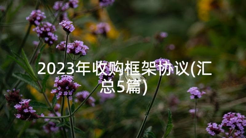 2023年收购框架协议(汇总5篇)