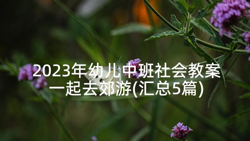 2023年幼儿中班社会教案一起去郊游(汇总5篇)