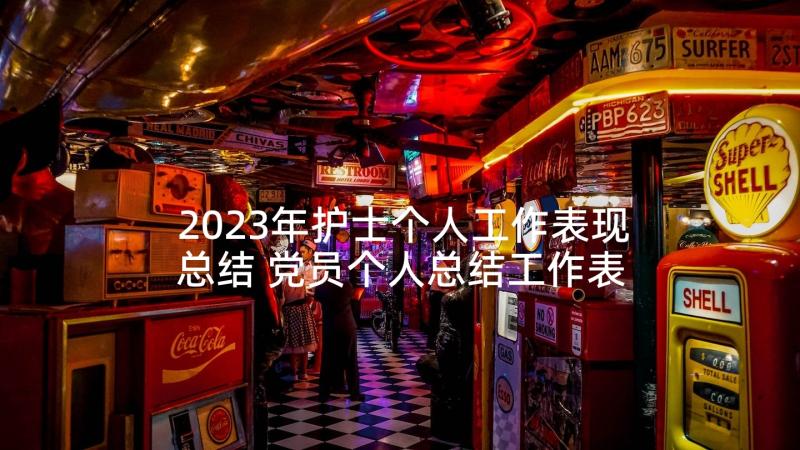 2023年护士个人工作表现总结 党员个人总结工作表现(大全6篇)