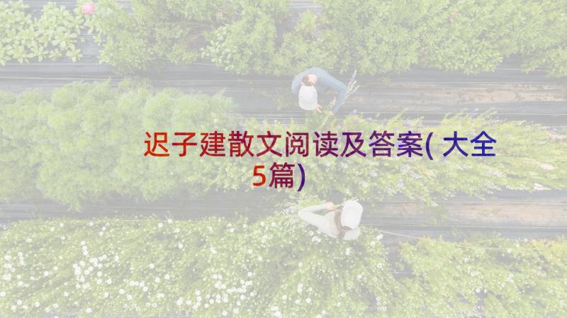 迟子建散文阅读及答案(大全5篇)