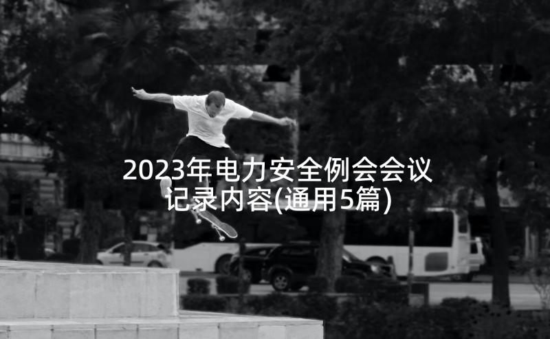 2023年电力安全例会会议记录内容(通用5篇)