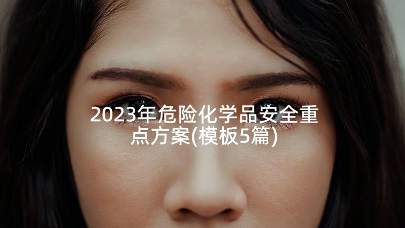 2023年危险化学品安全重点方案(模板5篇)