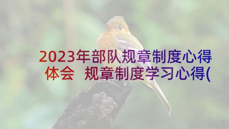 2023年部队规章制度心得体会 规章制度学习心得(模板8篇)