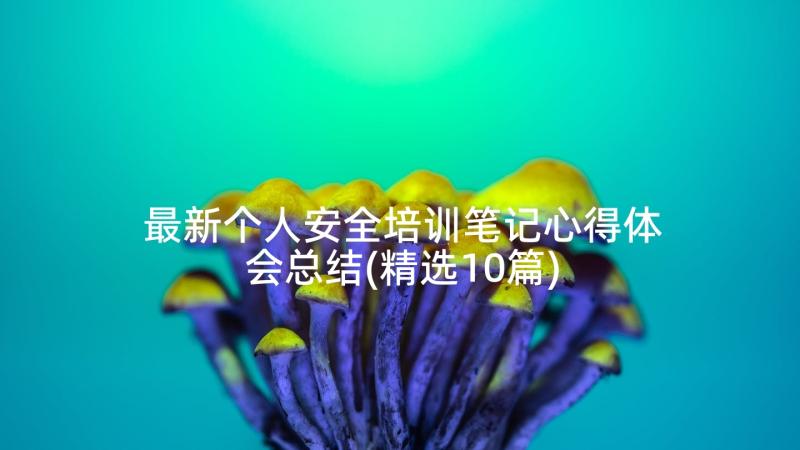 最新个人安全培训笔记心得体会总结(精选10篇)